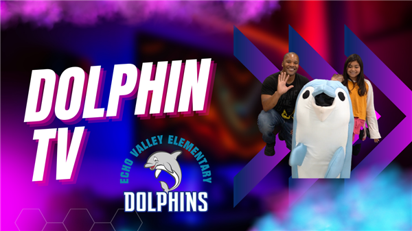  Dolphin TV Flyer